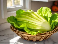 Crisp Salad Secrets: How to Keep Greens Fresh and Crunchy