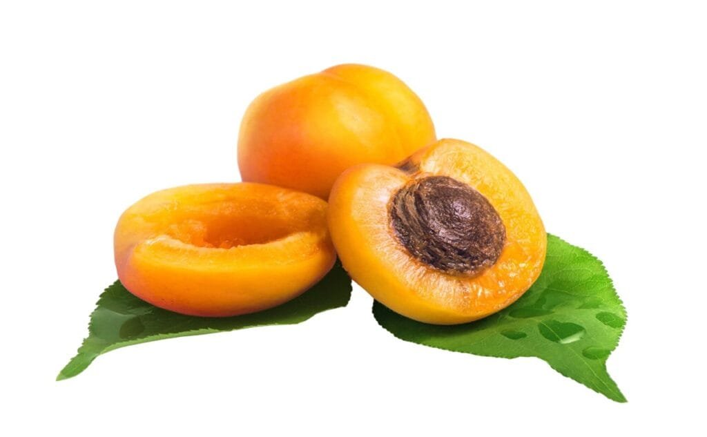 Fresh apricots showing health benefits