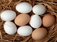 Eggs: Health Benefits, Risks and How Many You Can Eat