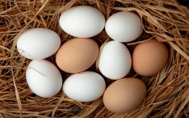 Eggs: A Miracle for Health or Hidden Risks You Don’t Know About!