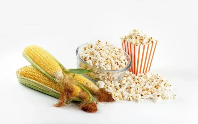 Secrets of Professional Popcorn: Simple Techniques for Amazing Results