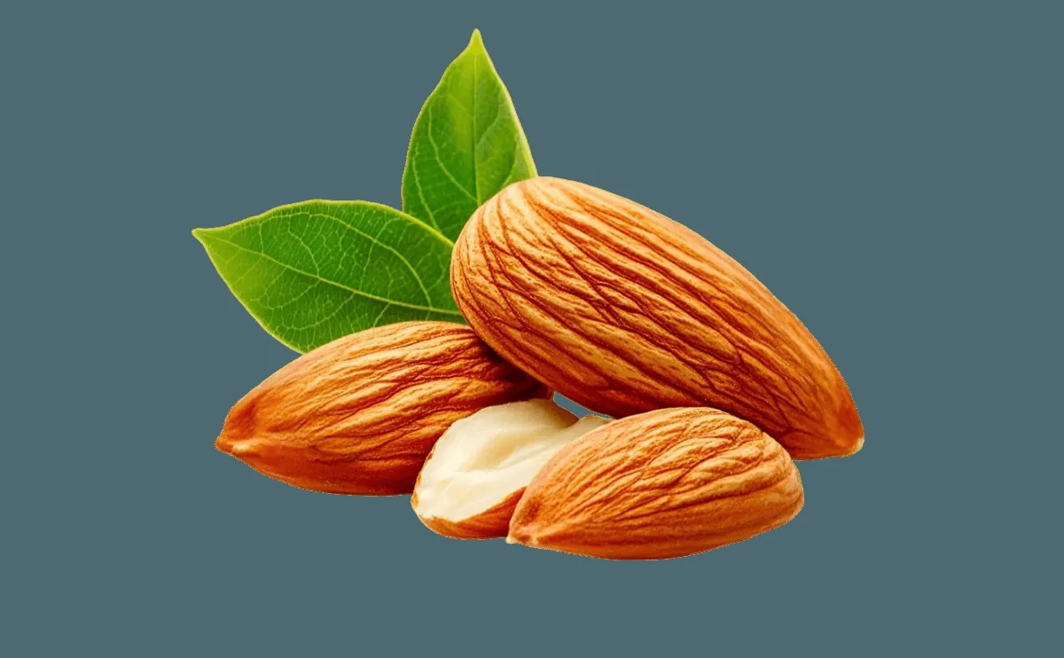 Almonds: The Most Nutritious and Closest Food to Breast Milk