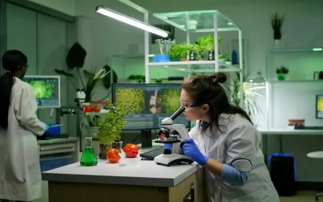 Superfoods Under Scrutiny: Global Standards, Regulations & Scientific Insights